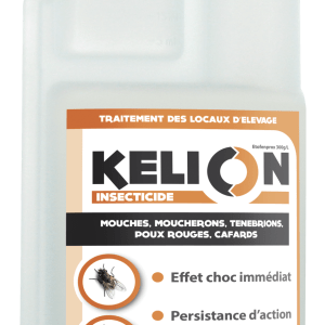 KELION EC