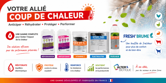 Coup de chaleur